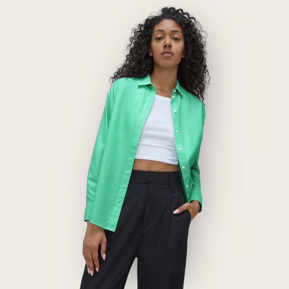 Everlane Oversized Striped Button Up Mint Green Cotton Oxford Preppy Minimalist - Picture 9 of 9